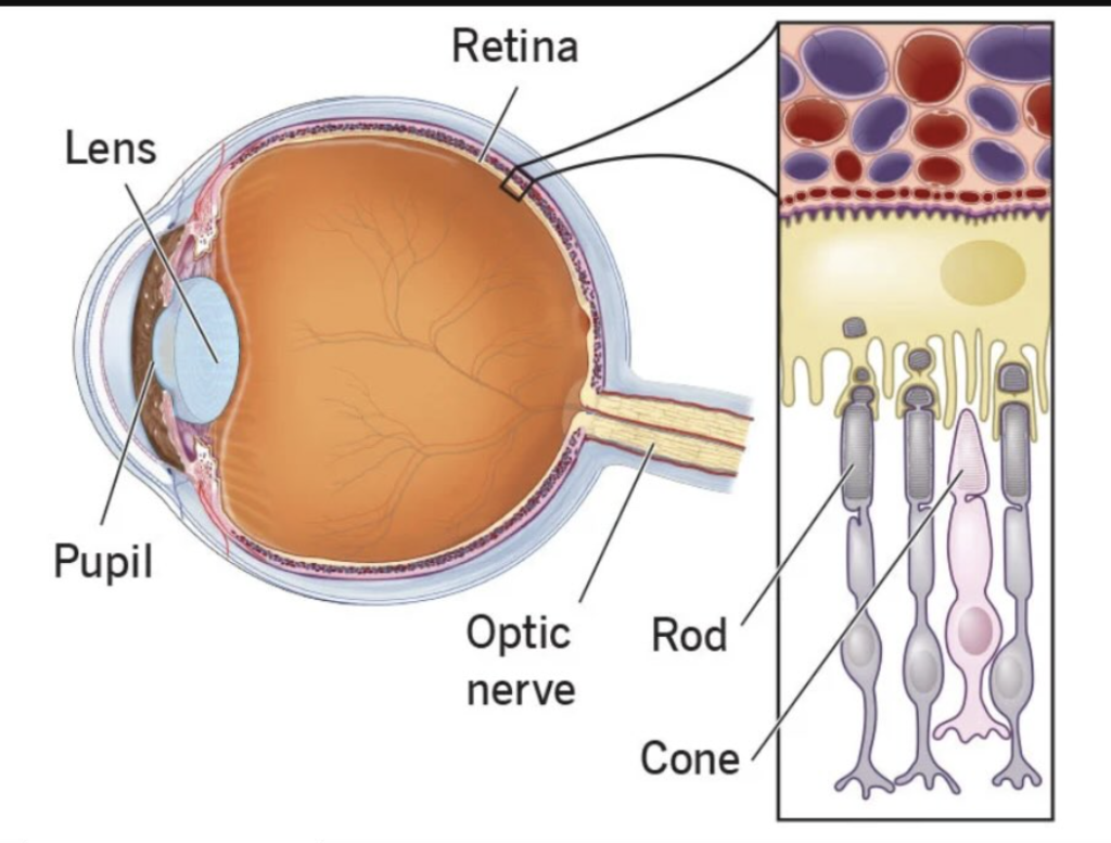 Screenshot 2026 04 03 at 2.44.49 PM